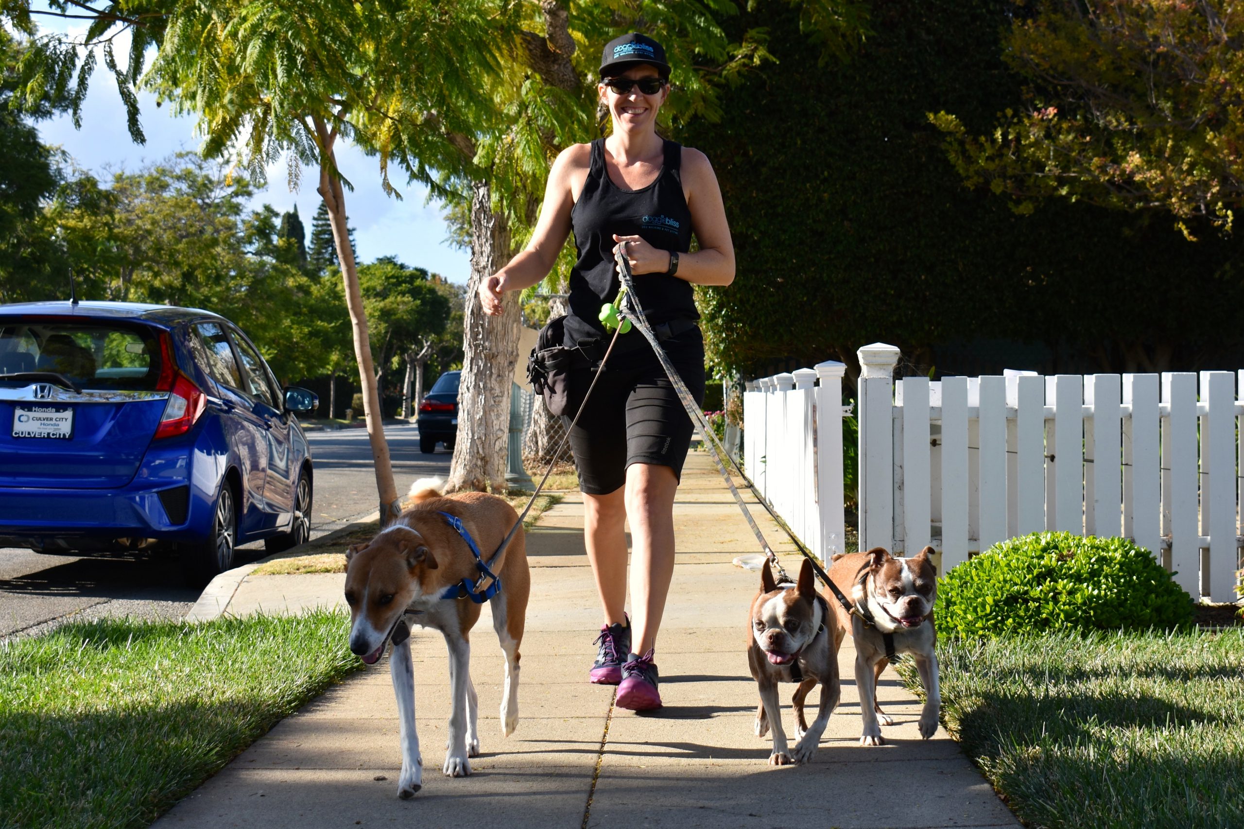 Benefits of Hiring a Dog Walker - Doggie Bliss