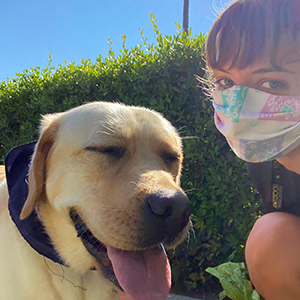 Covid-19 Precautions - Los Angeles Pet Sitting - Dog Walking