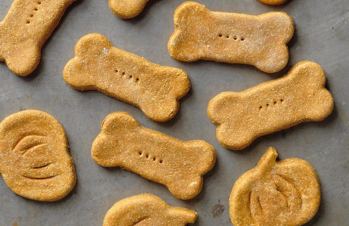 Puppy biscuit hot sale recipe