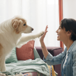 pet sitting Santa Monica CA